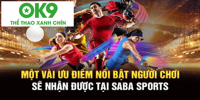 Kèo cược đa dạng hấp dẫn mọi hội viên